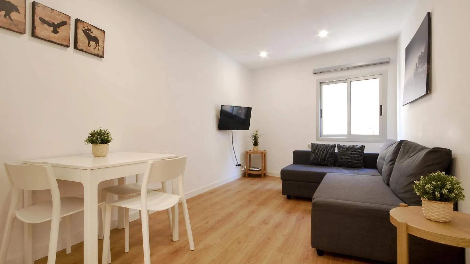 Charming And Quiet Apartments Near Barcelona L'Hospitalet de Llobregat Spain